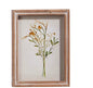 Botanical Shadowbox 10x7.5 Assort Styles