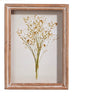 Botanical Shadowbox 10x7.5 Assort Styles