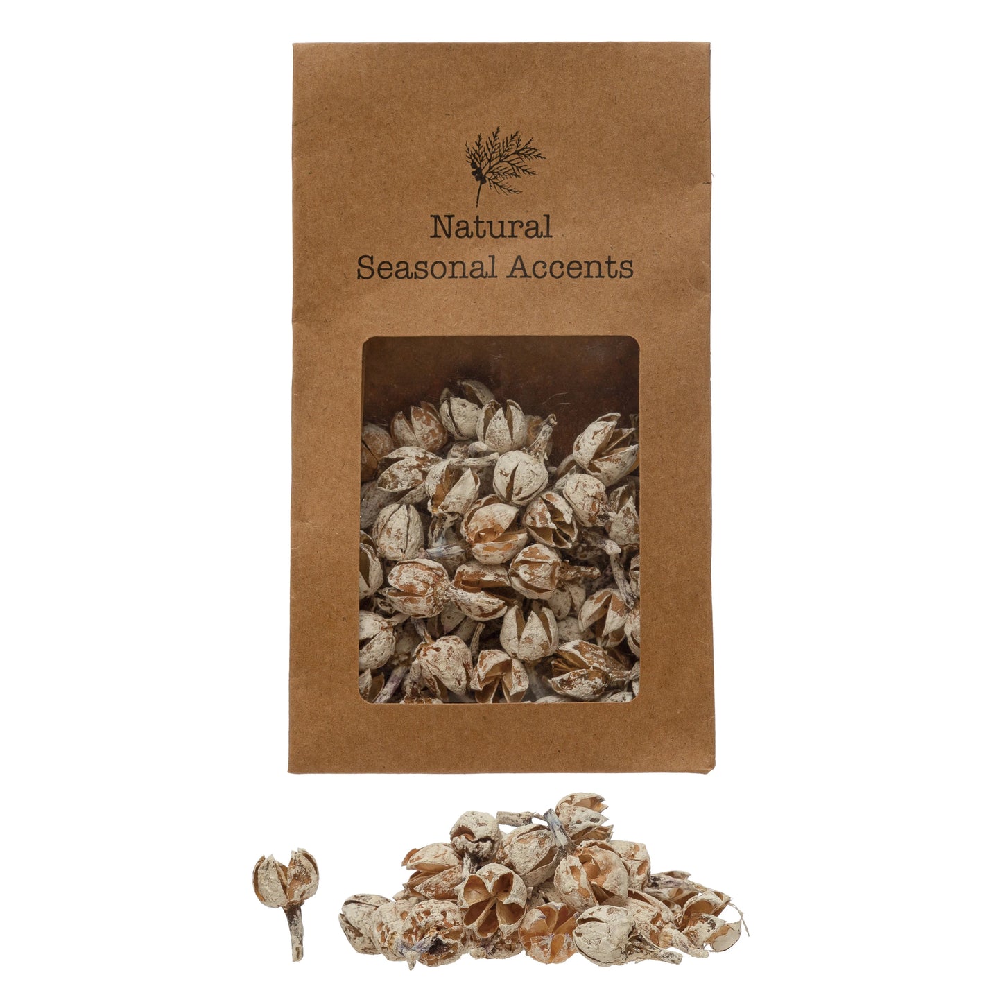 Dried Pods Bag 4oz